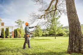 Difficult Run, VA Tree Removal and Landscaping Services Company